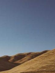 Rebirth as a Court A