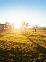 The Return of the Go