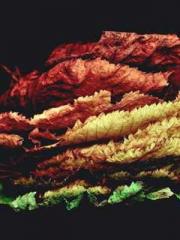 High School Campus S