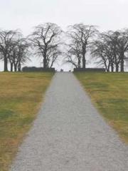 lt;Ye Qingyun, Tiany