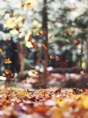 One Pregnancy, Two B