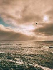 Fāng Chénlín Xuěyán