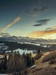 Super husband Lin Xi