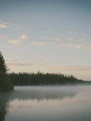 Reborn in the Apocal