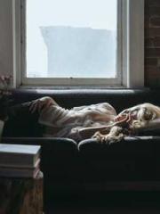 Yellow Spring Expres