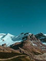 The Beloved Physicia