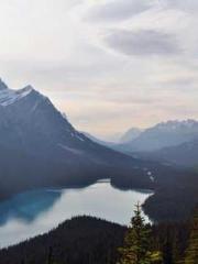 lt;Natural Disasters