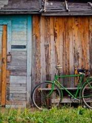 lt;lt;The Trash Husb