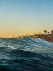 The Ugly Womanapos;s