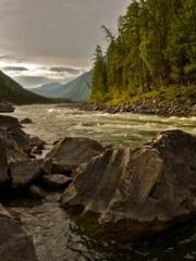 Double Blessing: CEO