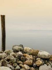 The Undefeated Son-i