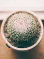 One person opens the