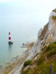 lt;Marry at first si