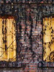 Celestial Eye: Peerl