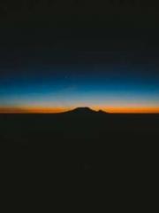 lt;Marry at first si