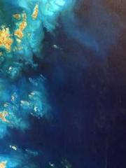 The Beloved Physicia