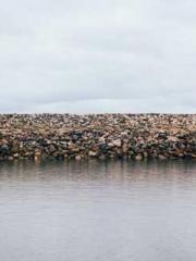 The Ugly Womanapos;s