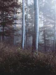 A-SOULapos;s Hoshima