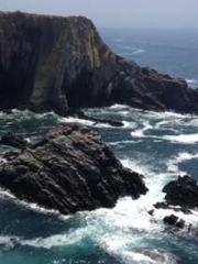 Jiang Mingzhu Zhou L