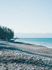 Reborn in the Apocal