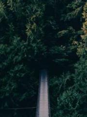 Mr. Gu, your wife is