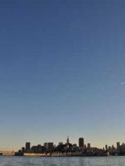 One Night Marriage P