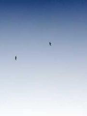 lt;lt;The Heavenly D