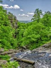 Lin Feng Lin Yun Yao