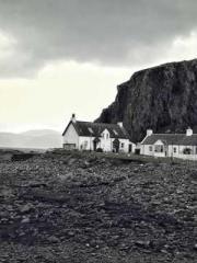 Transmigration: Feel