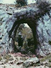 Shen Ning Ran Bao Ji