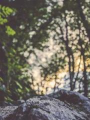 Rong Zhao, male, Nin