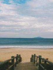 lt;Gingerly, Shen Qi