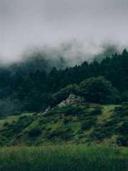 Lin Feng Lin Yun Yao