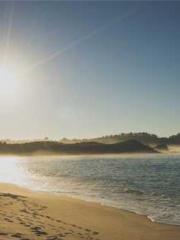 My pets are all amaz