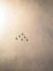 I have seven fairy g