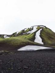 The Daring Wife of a