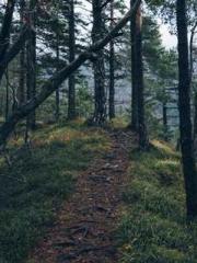 Spoil you in my arms