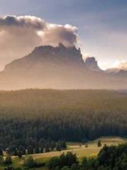 One Pregnancy, Two B